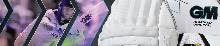 Click to go to the Gunn and Moore Wicket Keeping Gloves and PadsGunn and Moore home page