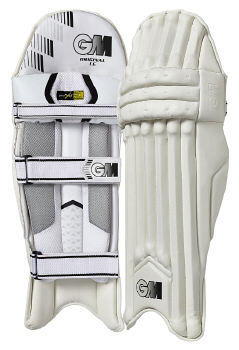 Batting Pads