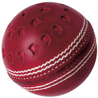 Gunn & Moore Cricket Balls