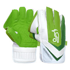 Junior Wicket Keeping Pads and Gloves