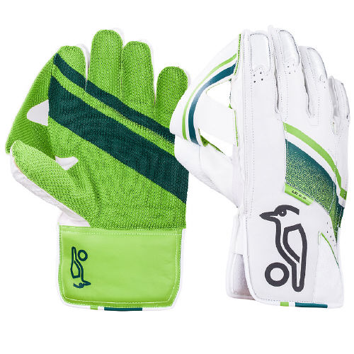 Price of keeping best sale gloves