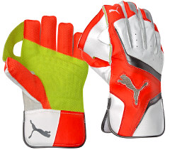 Puma evoSpeed 3 Wicket Keeping Gloves 2017