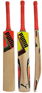 puma evo speed bat