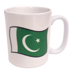 Pakistan Cricket Mug